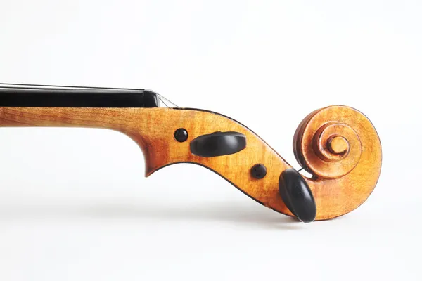Violin musical instrument orchestra head — Stock Photo, Image