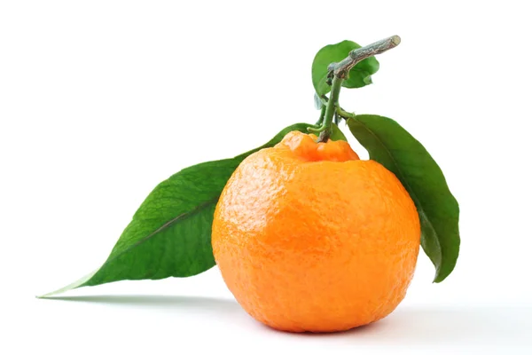 Mandarine mit Blatt. — Stockfoto