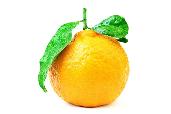 Tangerine. — Stock Photo, Image