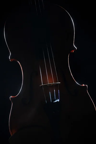 Viool. artistieke silhouet muziekinstrument op zwart — Stockfoto