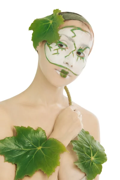 绿色的植物化妆品护肤 — 图库照片