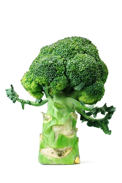 Repollo de brócoli — Foto de Stock