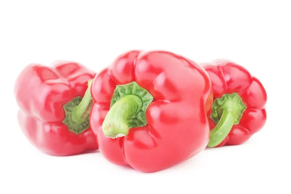 Paprika červená paprika — Stock fotografie
