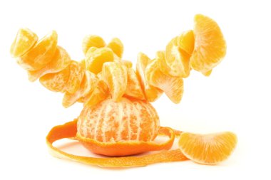 Creative orange tree clipart