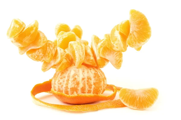 Kreativa apelsinträd — Stockfoto