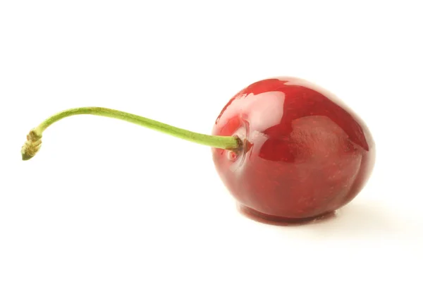 Cherry one — Stock Photo, Image
