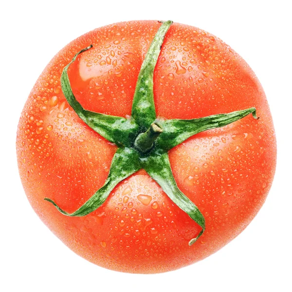 Tomato one isolated. — Stock Photo, Image