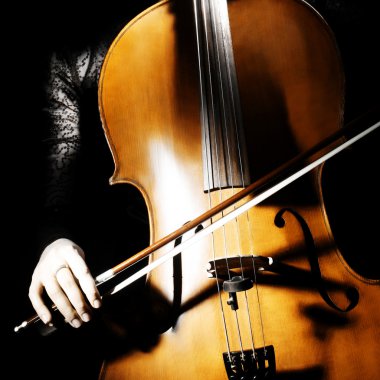 Cello musical instrument with cellist hand clipart