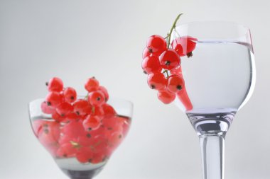 Red currant in wineglass still-life clipart