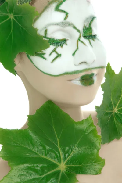 Zielona roślina kosmetyki skincare — Zdjęcie stockowe
