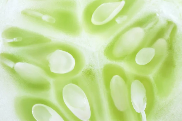 Concombre - macro de fond — Photo