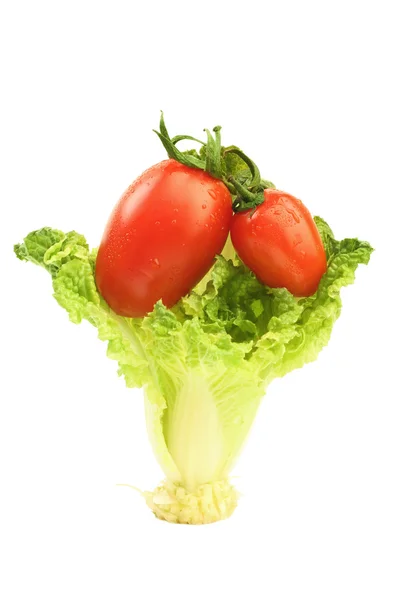 Tomato and cabbage — Stock Photo, Image