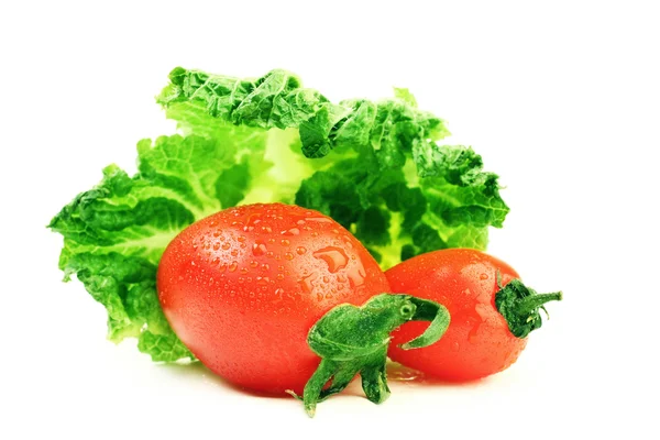 Fresh vegetable tomato and lettuce — Stock Photo, Image