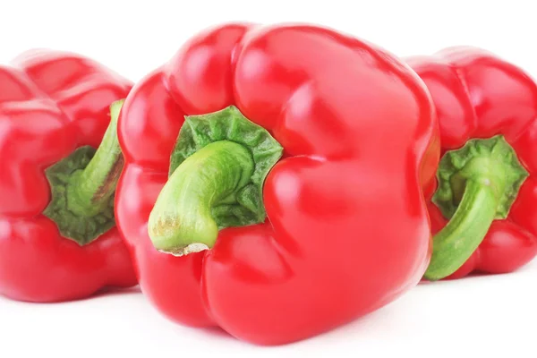 Pepř, červená paprika — Stock fotografie