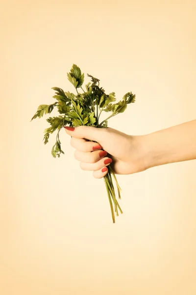 Parsley in hand — Stock Photo, Image