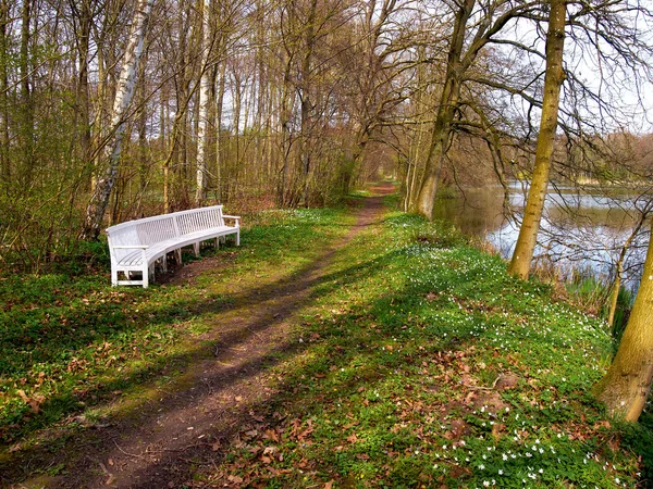 Belo jardim parque de madeira banco sentado canto — Fotografia de Stock