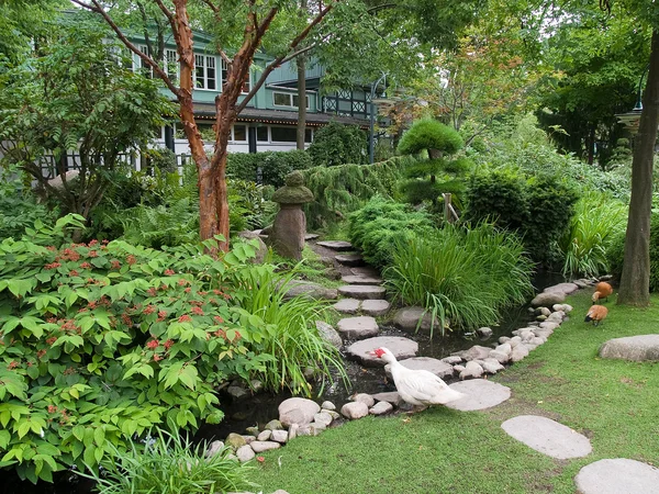 美丽的古典日本花园 — 图库照片