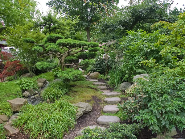 Gyönyörű klasszikus japán kert — Stock Fotó