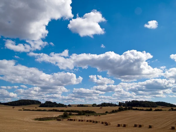 Haystacks alanında - tarım arka plan — Stok fotoğraf