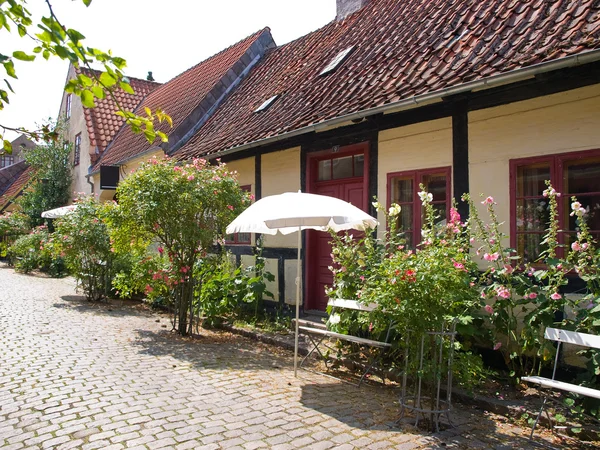 Traditionelles dänisches Landhaus mit Blumen — Stockfoto