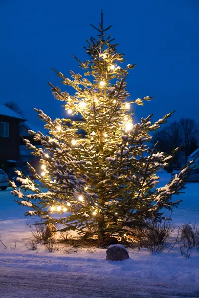 Hermoso árbol de Navidad al aire libre Navidades blancas — Stockfoto
