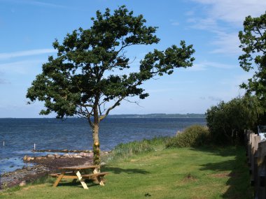 açık havada deniz kenarında piknik masası