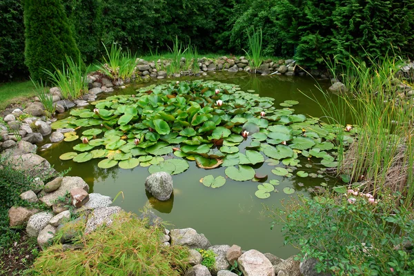 Beautiful classical garden fish pond gardening background — Stock Photo, Image