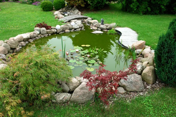 Hermoso diseño clásico jardín peces estanque jardinería fondo — Foto de Stock