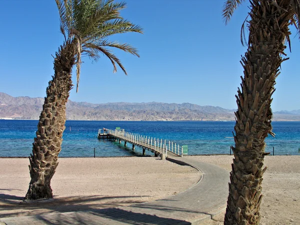 Tropical beach in the Red Sea — Stock Photo, Image