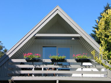 geleneksel İskandinav evi
