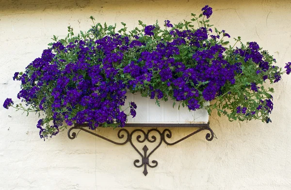 Klassieke planter bloempot op een bakstenen muur — Stockfoto