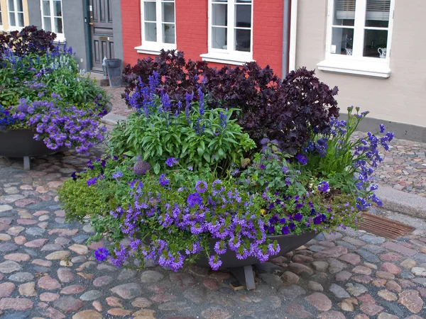 Vecchia strada con vasi di fiori — Foto Stock