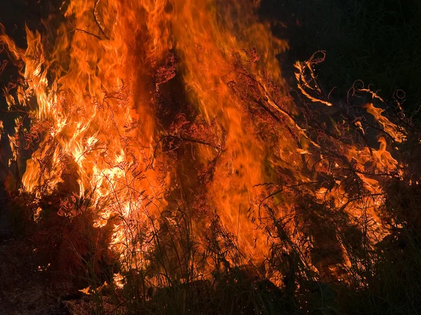 Fuego de llama ardiente infierno — Foto de Stock