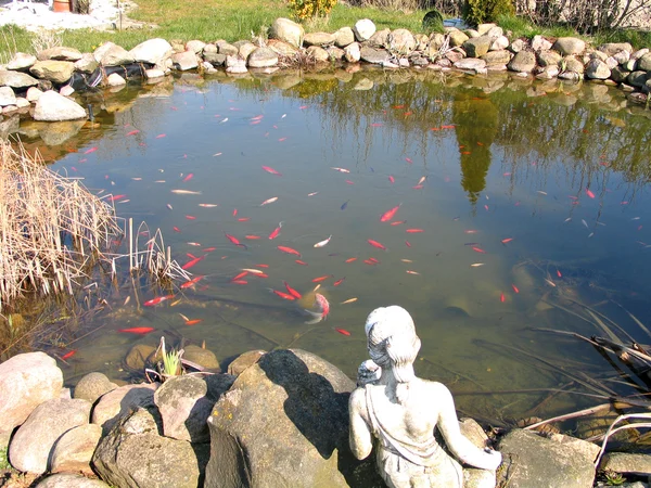 庭の魚のいる池 — ストック写真