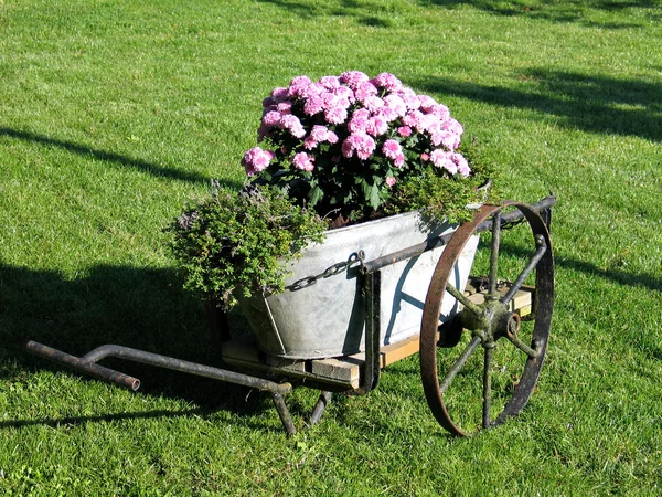 Trädgård inredning i gammal vagn — Stockfoto