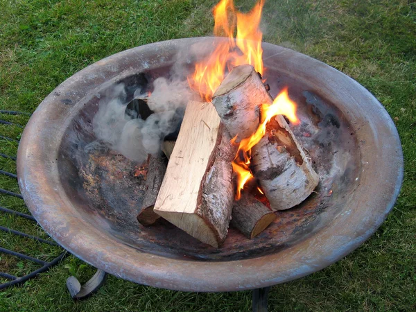 Fire pit with burning logs