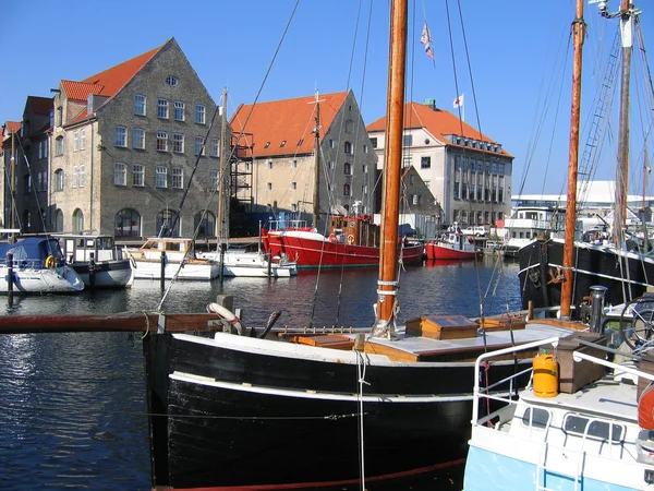 丹麦哥本哈根美丽白い背景の上のラップトップで美しい少女 — 图库照片