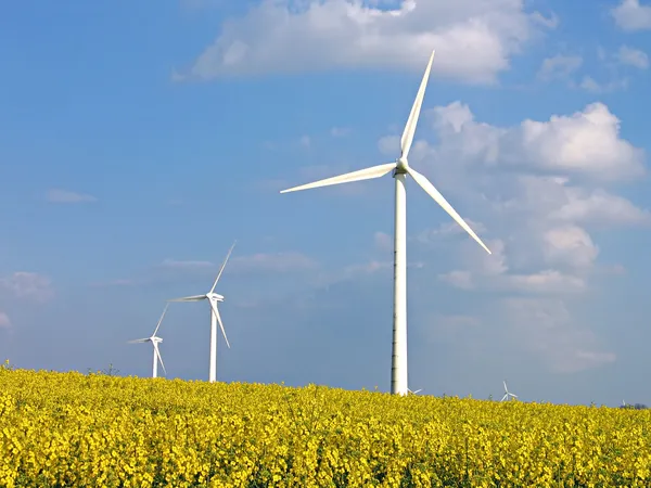 Ветряные турбины в области рапса - Альтернативная энергия — стоковое фото