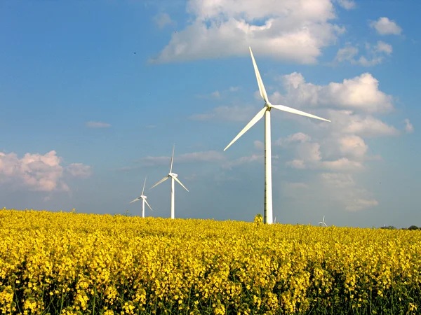 Wind turbines in rapes field - Alternative energy — Stock Photo, Image