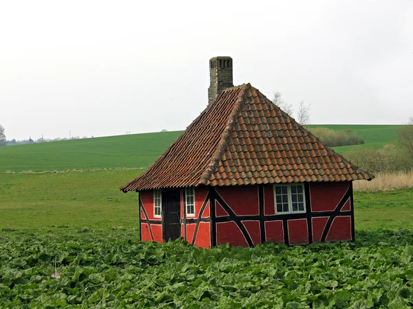 Oude fairy tales legendes middeleeuwse stijl huis — Stockfoto