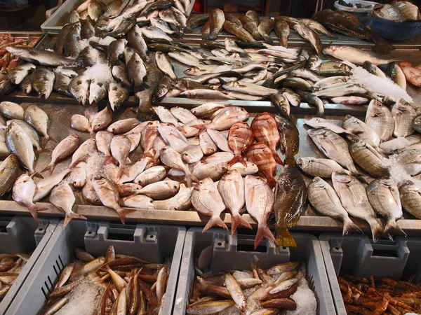 시장에 있는 싱싱 한 생선 — 스톡 사진