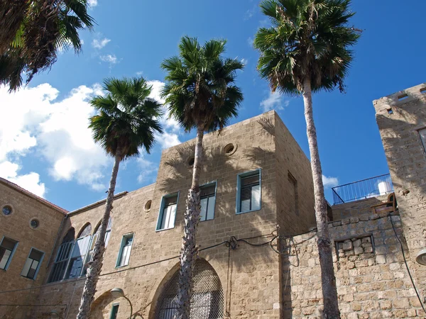 Dům středomořském stylu s palmami stromy, akko, Izrael — Stock fotografie