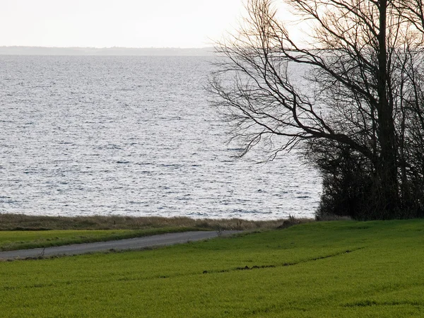 緑の芝生のフィールドと、バック グラウンドで海 — ストック写真