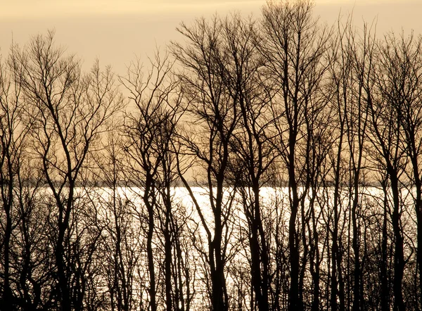 Güzel kış günbatımı manzara arka plan — Stok fotoğraf