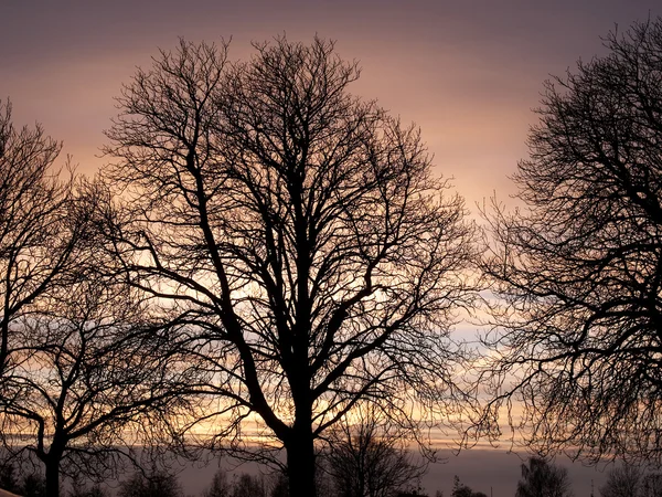 Güzel kış günbatımı manzarası — Stok fotoğraf