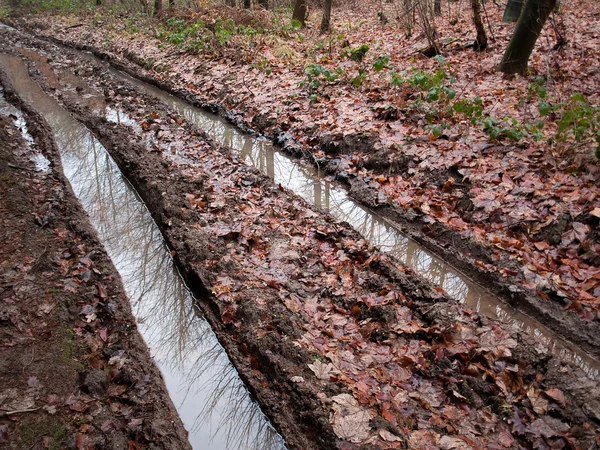 Paese strada forestale fangoso whith pneumatici tracce — Foto Stock