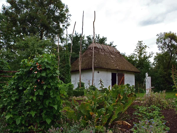 Klein landhuis met stro rieten dak — Stockfoto