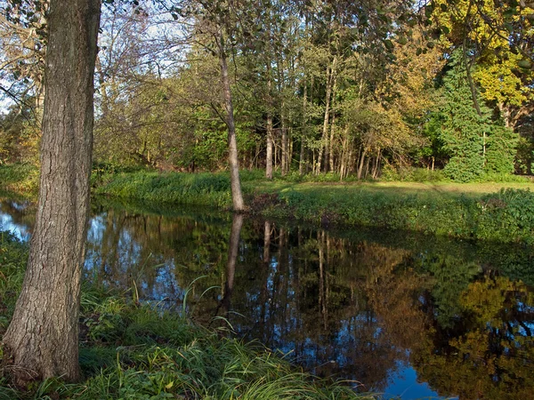 Γραφικό Φθινοπωρινό τοπίο του ποταμού και πολύχρωμο δέντρα — Φωτογραφία Αρχείου