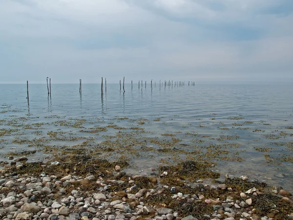Seagulls stand on fishing nets poles dramatic seascap — Stock Photo, Image