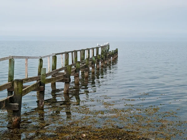 Prachtig zeegezicht van een houten voetgangersbrug — Stockfoto